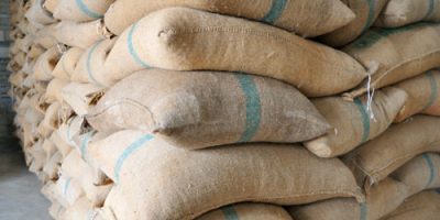 amric-cameroon-cocoa-beans-in-bags